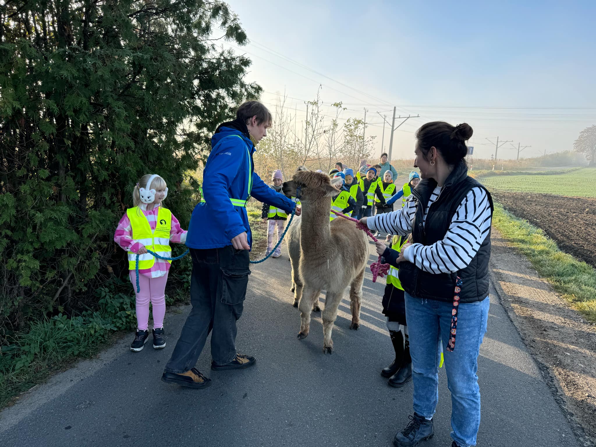 Spacer z Alpakami w klasie Ib