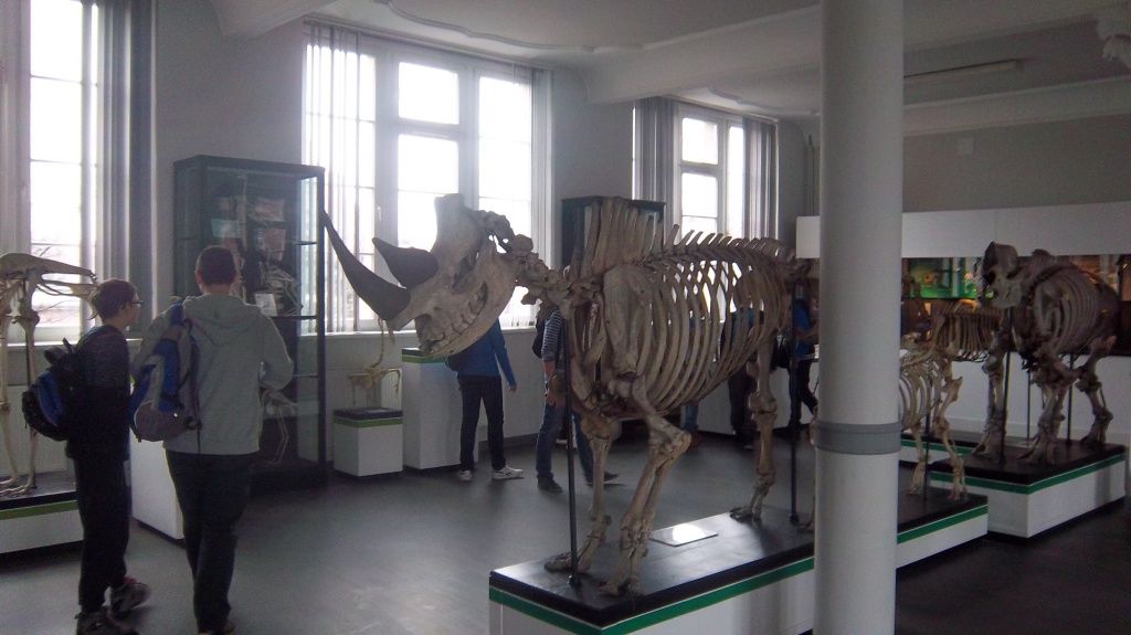 Wycieczka do Muzeum Przyrodniczego Uniwersytetu Wrocawskiego