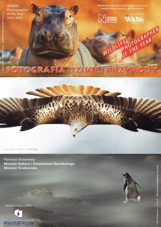 Plakat Wildlife Phootographer of the Year 2002 - 2015