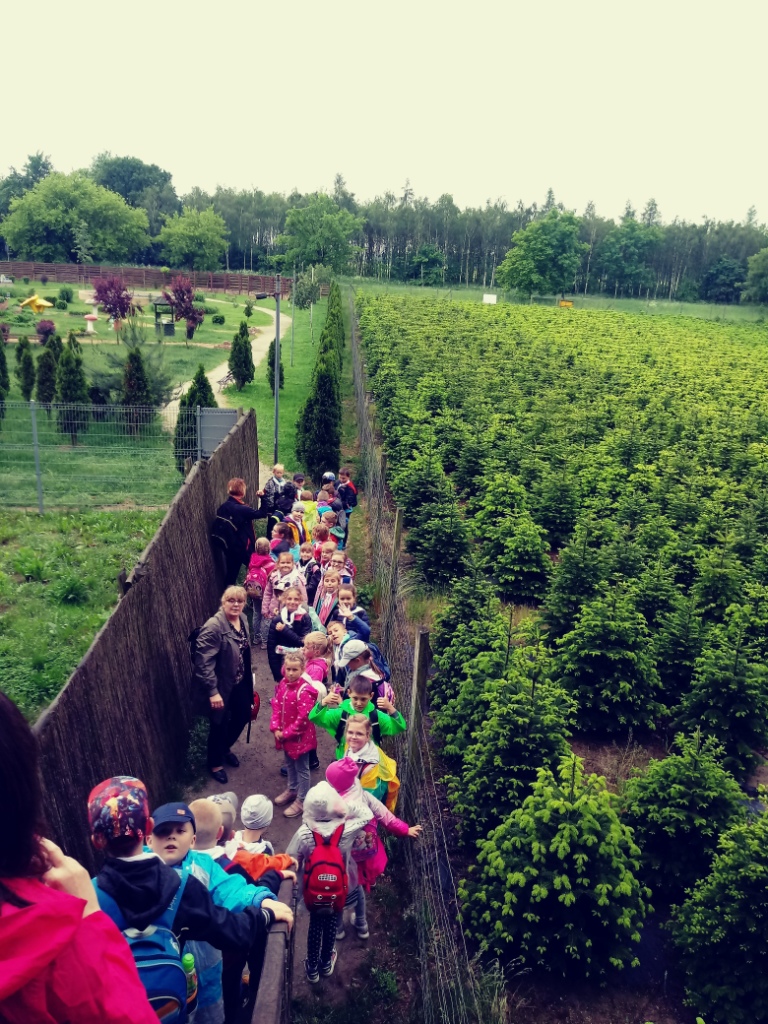 Wycieczka uczniw klas pierwszych do Stszewa do parku edukacyjno - rozrywkowego