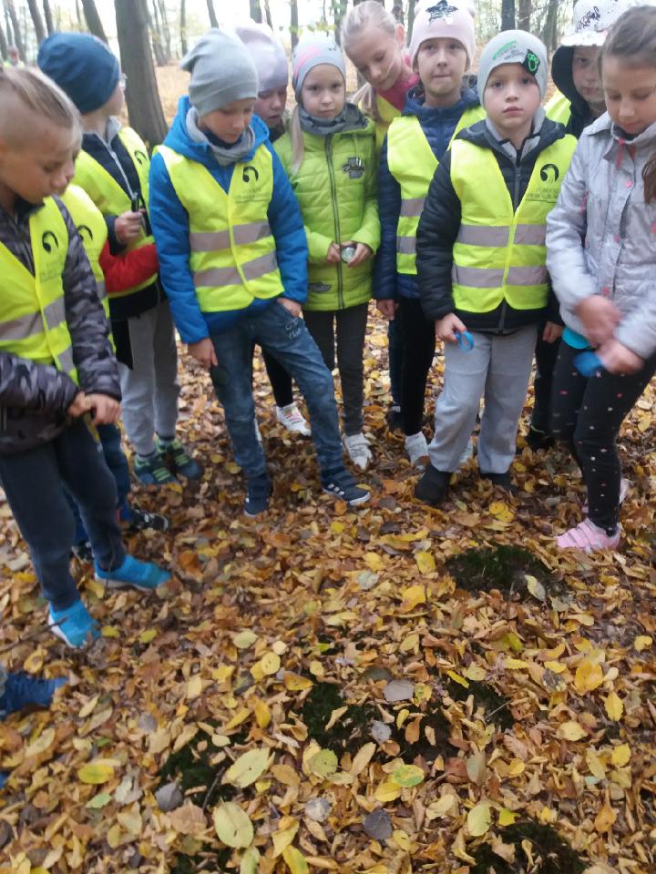 Wycieczka do lasu uczniw klas trzecich