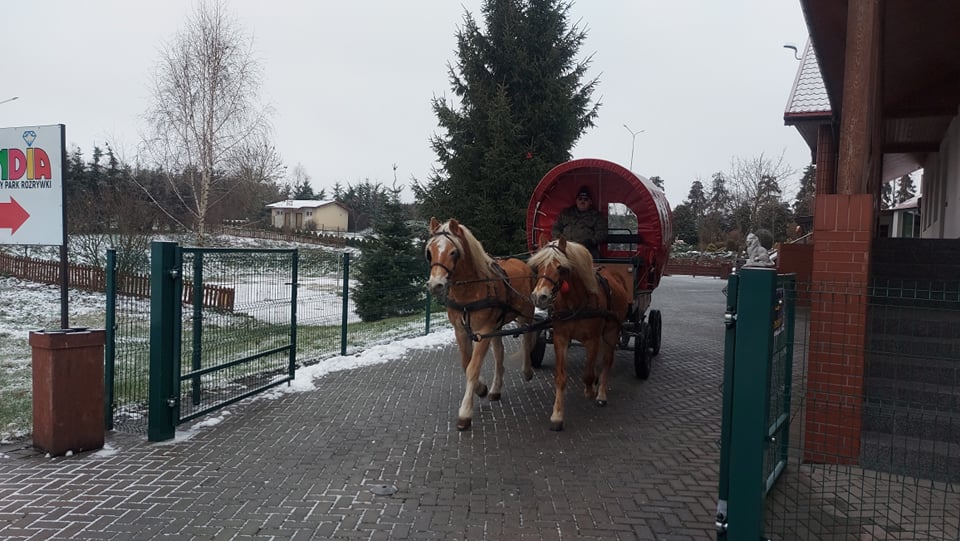 Mikoajki 2021 - Bryllandia klasy trzecie