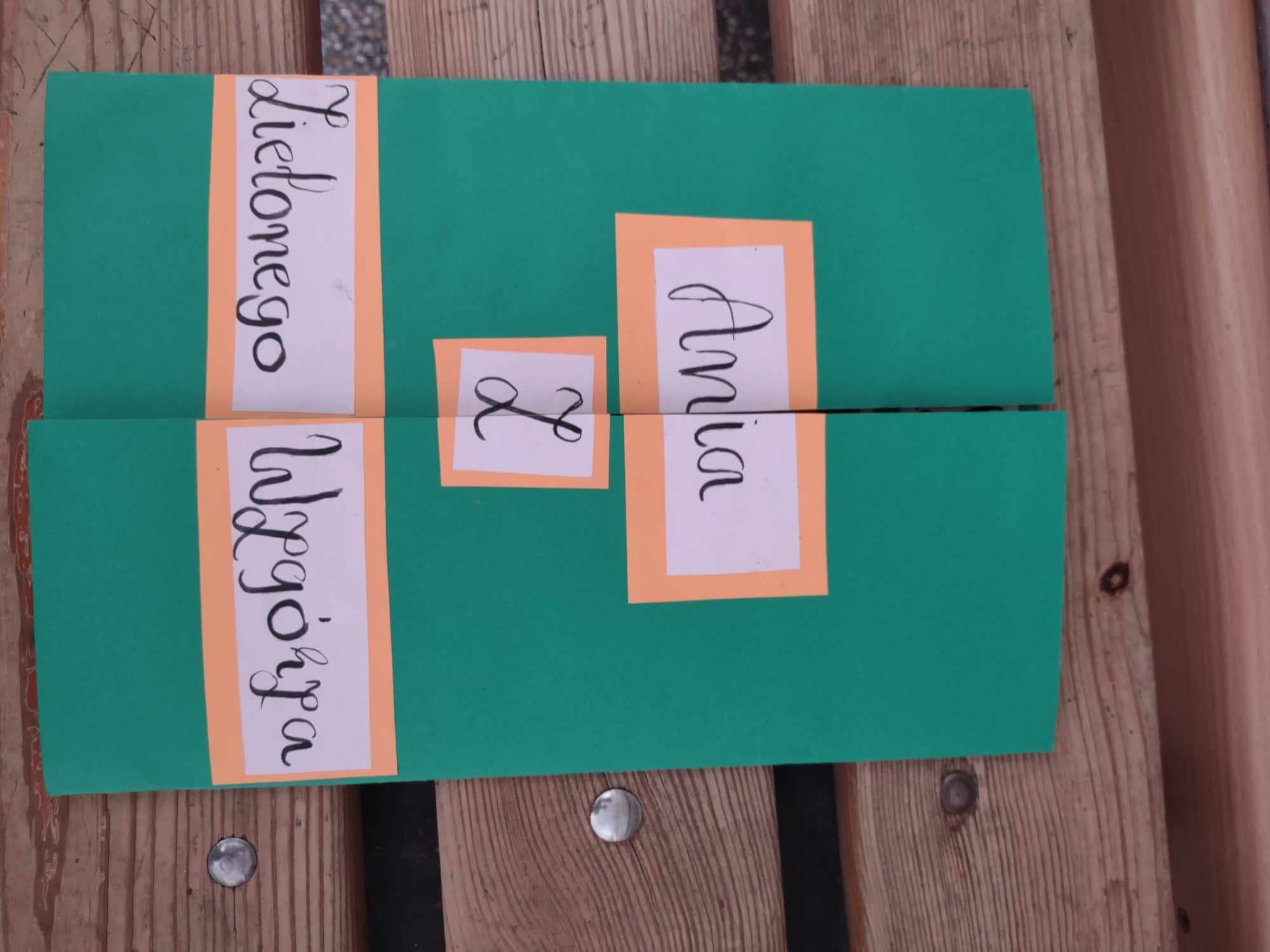 Polski 6a - lapbook Ania z Zielonego Wzgrza