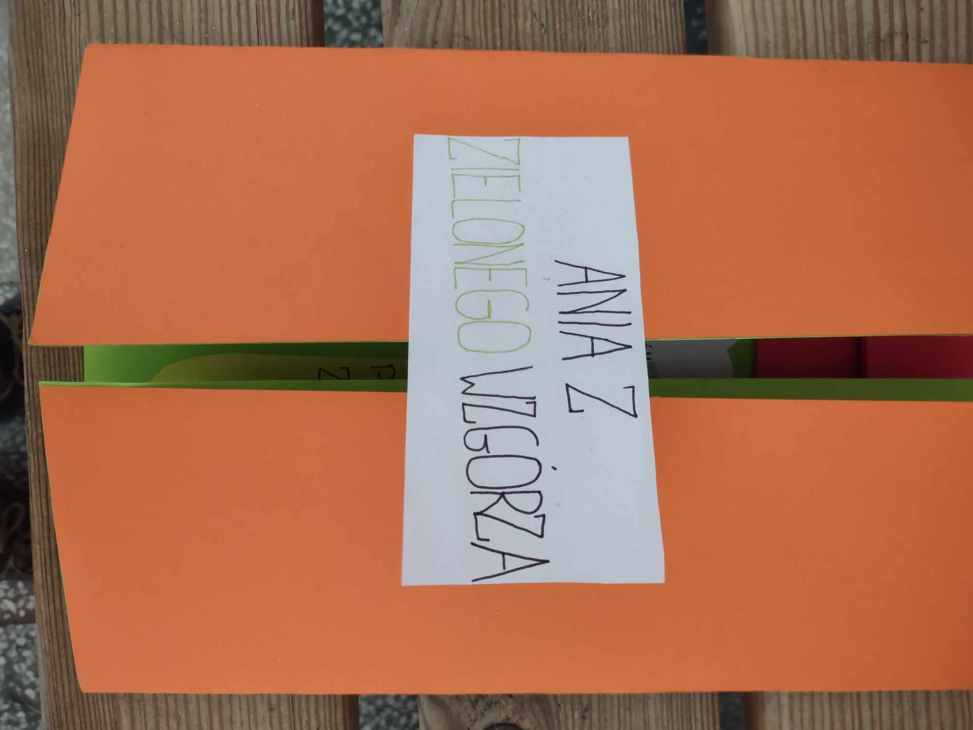 Polski 6a - lapbook Ania z Zielonego Wzgrza