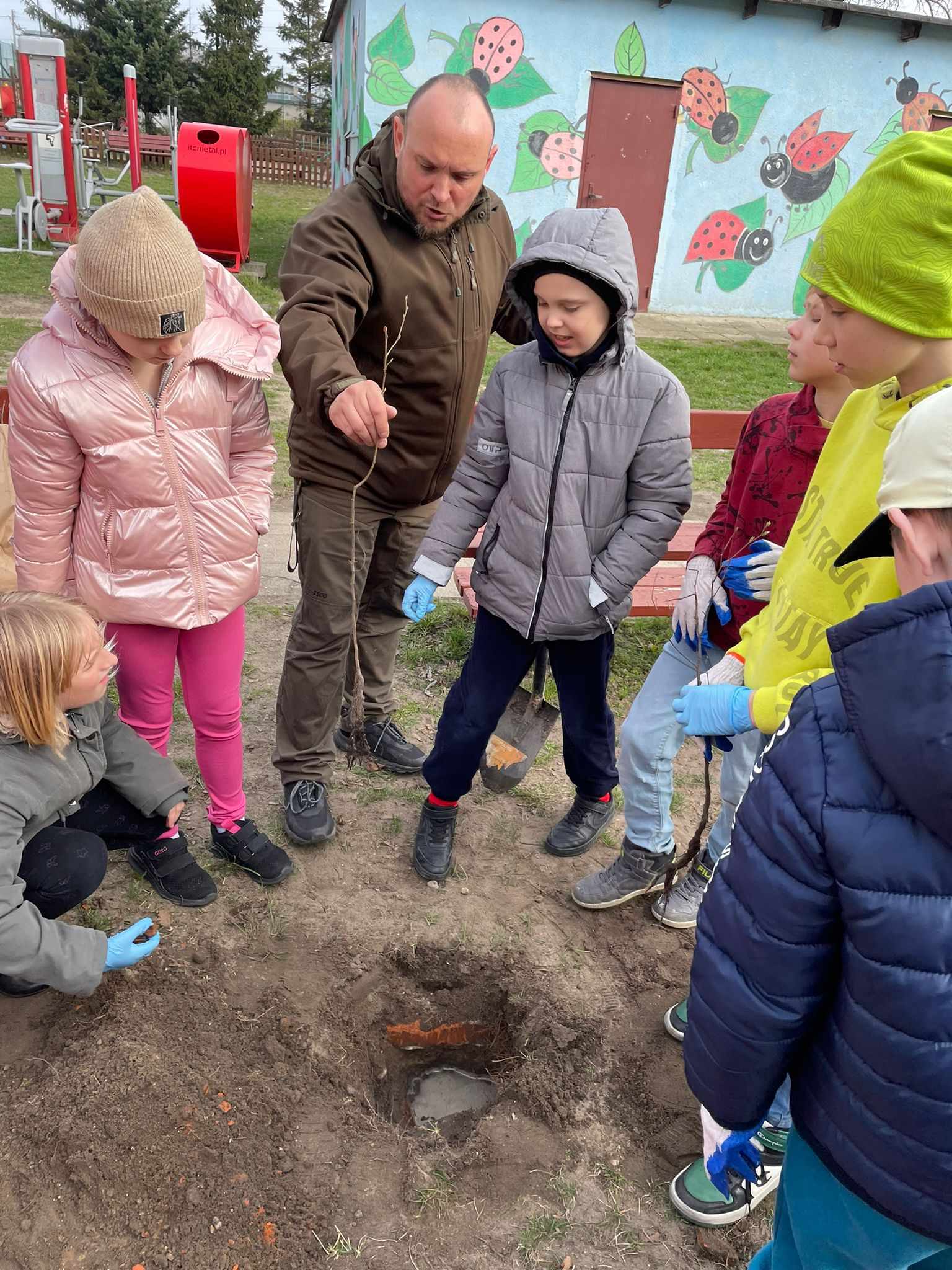 Akcja sadzenia drzew w naszej szkole