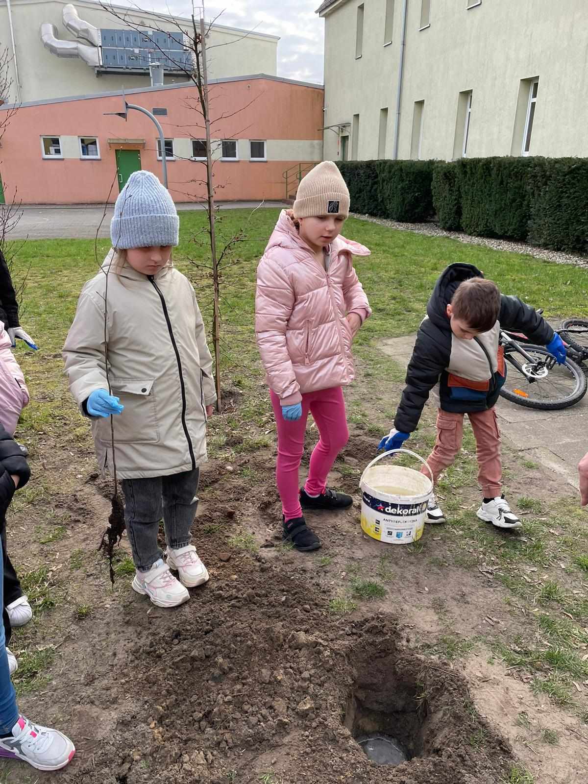 Akcja sadzenia drzew w naszej szkole