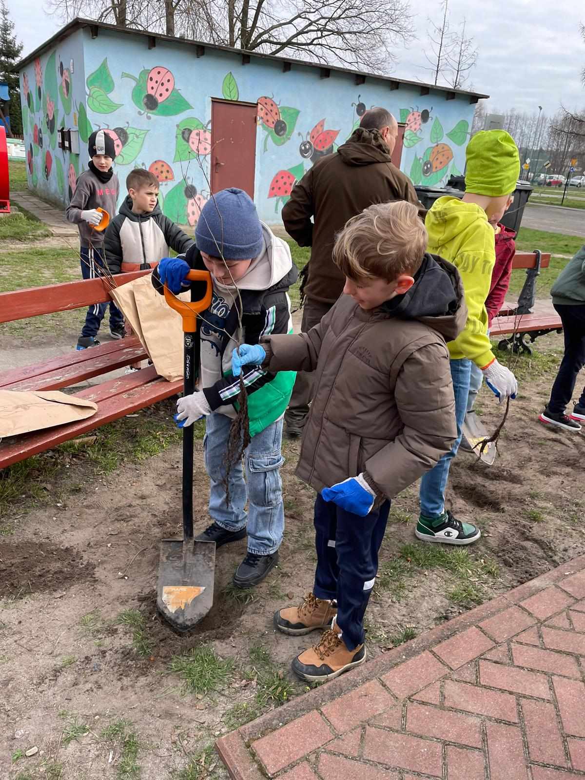 Akcja sadzenia drzew w naszej szkole