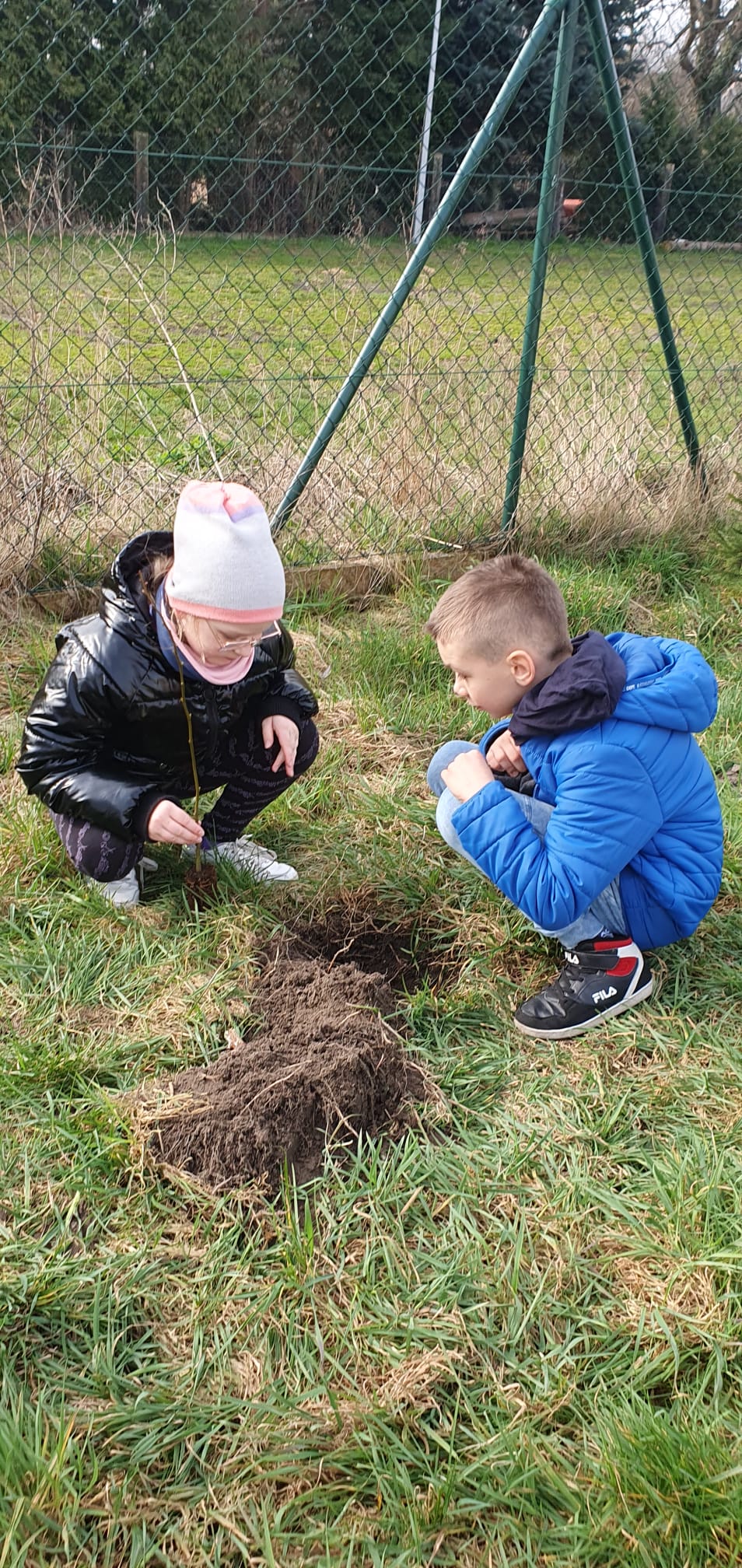 Akcja sadzenia drzew w naszej szkole