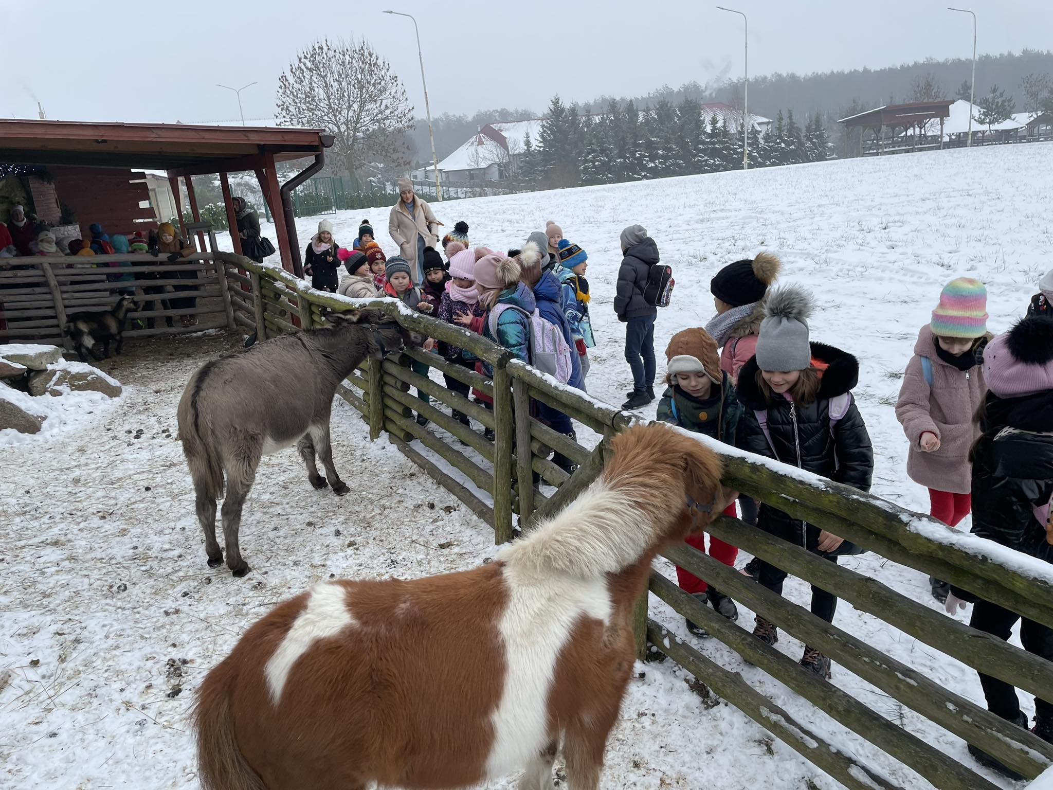 Wycieczka Bryllandia 1ab